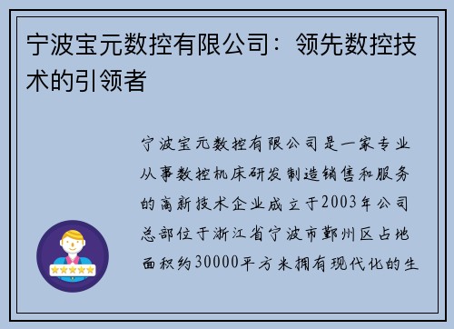 宁波宝元数控有限公司：领先数控技术的引领者